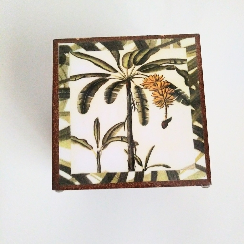 Annie Modica Tropical Palm Tree Tissue Box W